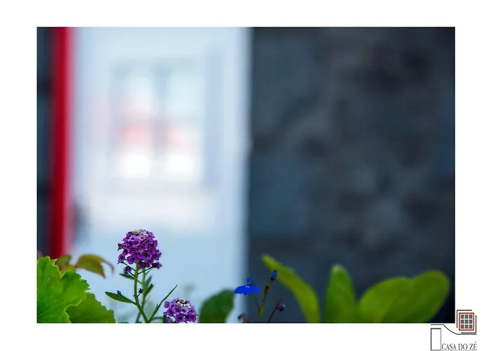 Casa Do Ze Ii Al Διαμέρισμα Velas