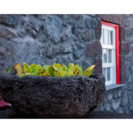 Casa Do Zé Ii Al Appartement