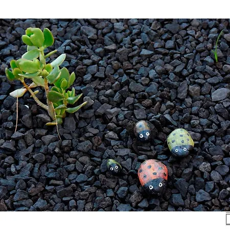 Apartman Casa Do Ze Ii Al