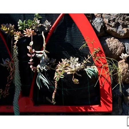 Casa Do Ze Ii Al Apartman *