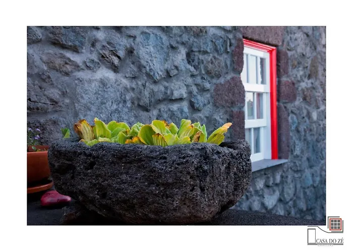 Casa Do Ze Ii Al Apartamento