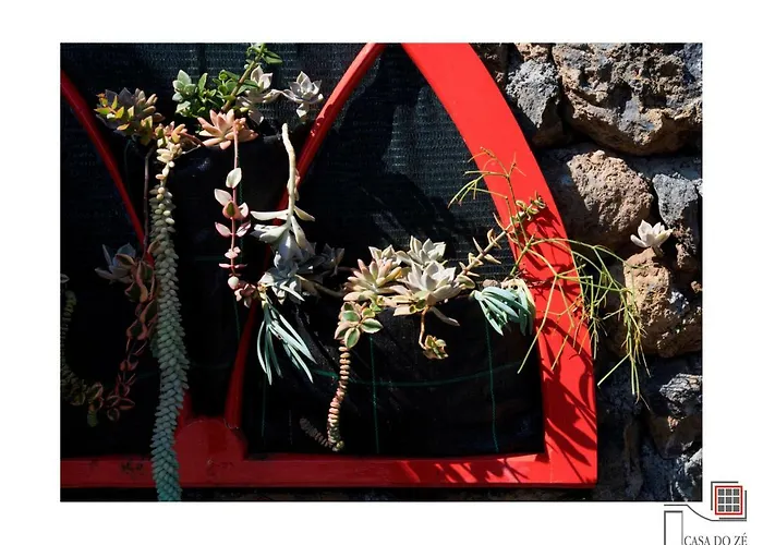 Casa Do Ze Ii Al 公寓 *